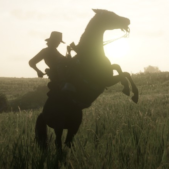 Online Horse Stats & Selection Guide for Red Dead Redemption 2