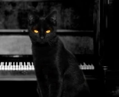 [Outdated, V1.5] The Cat Lady save game archive for The Cat Lady