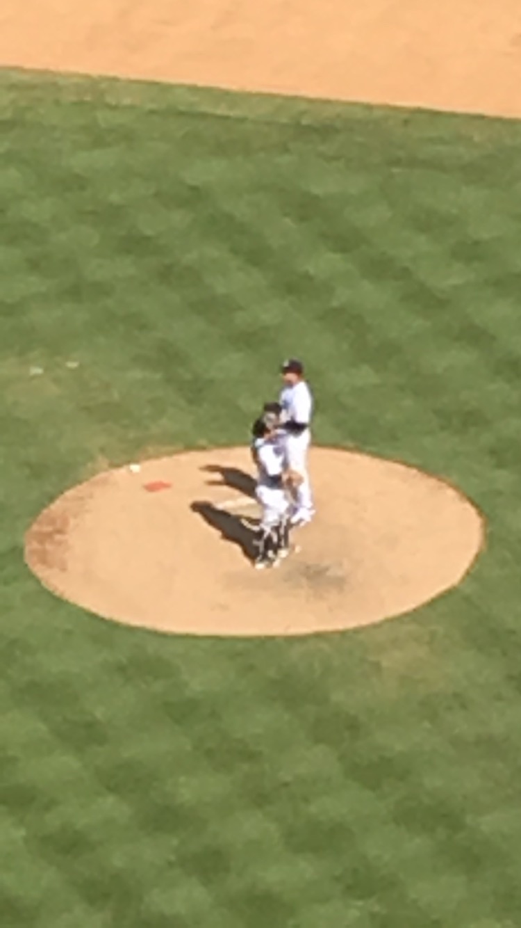 Playing OOTP 14 for Out of the Park Baseball 14