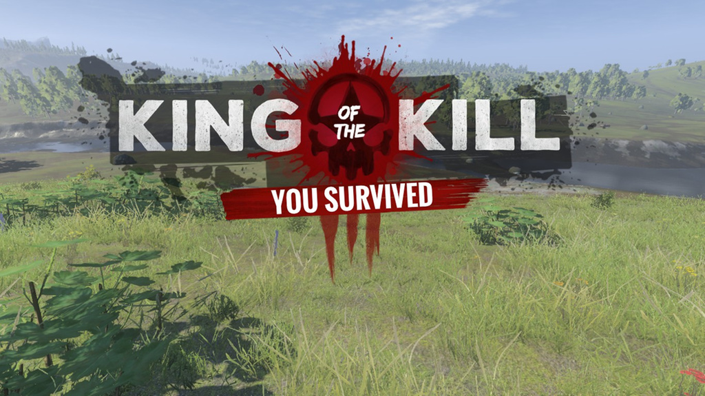 Posibles Estrategias dentro del Juego for Z1 Battle Royale