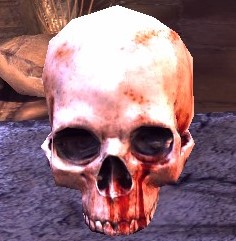 RAGE: The Secret Skull (Pressure Plate Puzzle - Scorcher Base) for RAGE