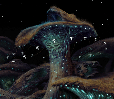 Samorost 3: 100% Succès + Livre des Secrets [FR] for Samorost 3