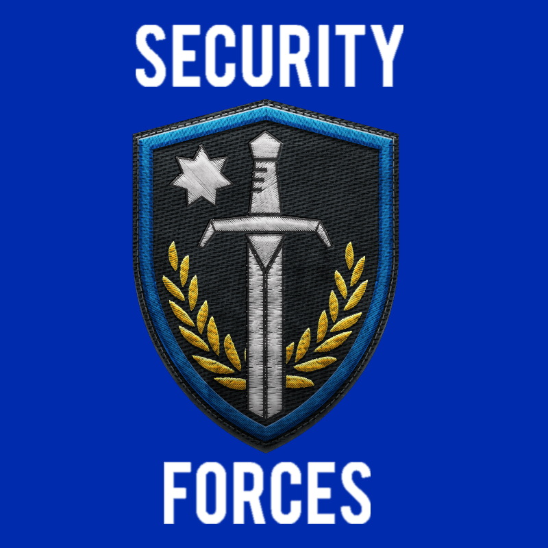 Security ile İlgili Genel Bilgiler [Türkçe] for Insurgency: Sandstorm