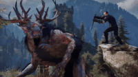 Skellige Druid & Alchemy Destesi for GWENT: The Witcher Card Game