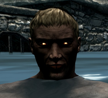 SkyrimPrefs.ini FPS Hints + 720p60 .TXT for The Elder Scrolls V: Skyrim Special Edition