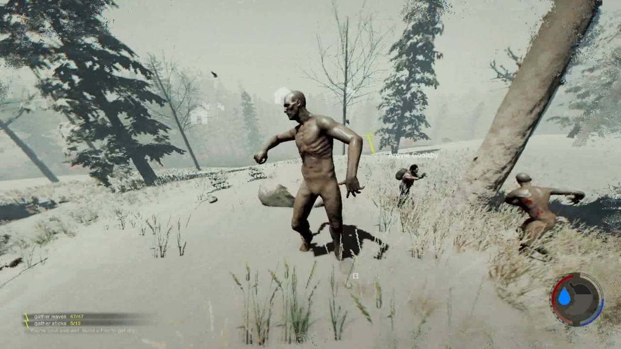 Snow Biome Survival - The Forest for The Forest