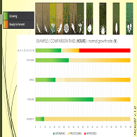Tempi di crescita - time of growth  for Farming Simulator 17