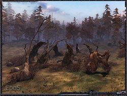 The Big Anomaly Guide for S.T.A.L.K.E.R.: Call of Pripyat