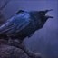 'The crow', 'Tequila Jose Cuervo' crow locations for Unepic