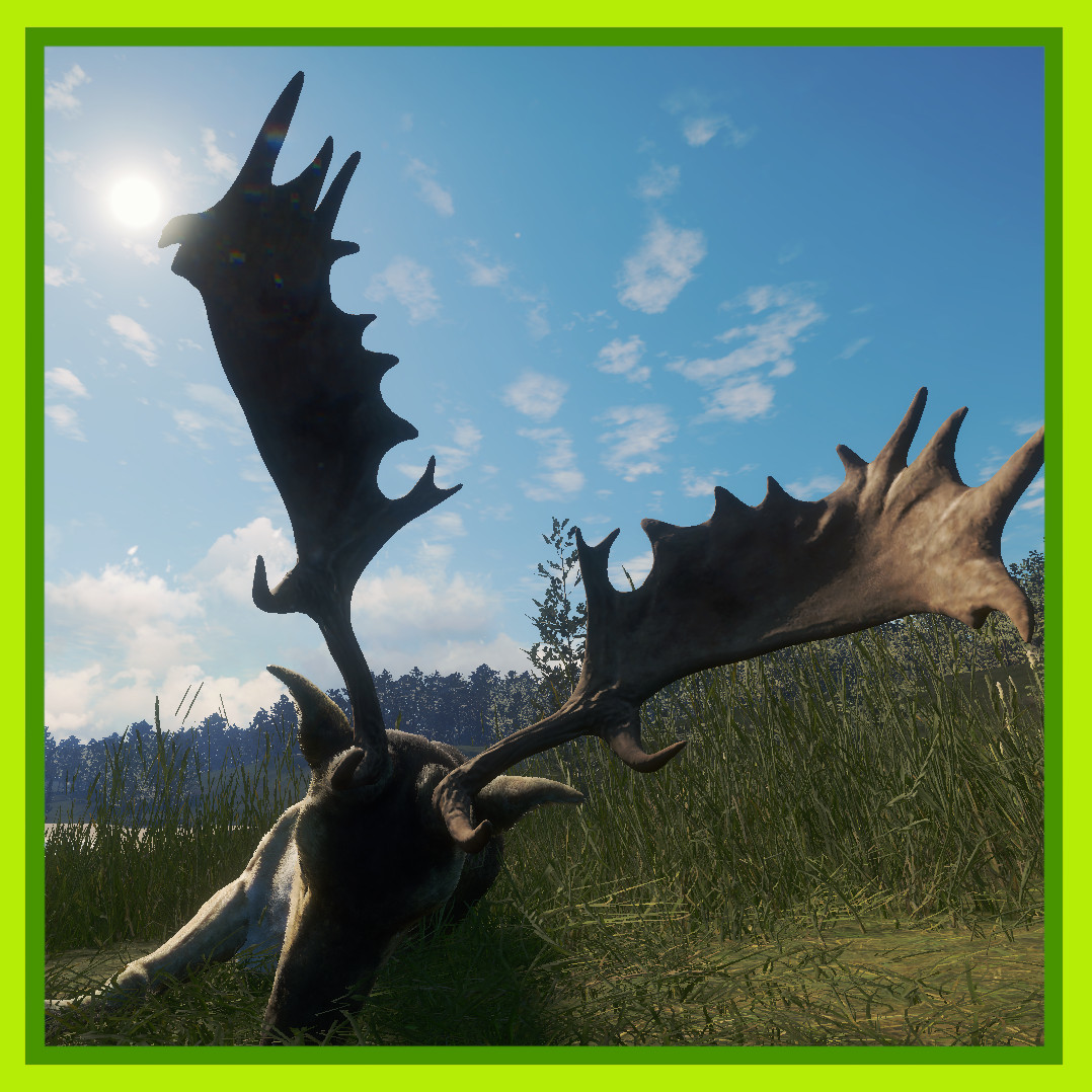 The Fallow Deer Of Te Awaroa - A guide for the grind for theHunter: Call of the Wild™