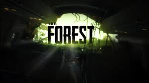 The Forest - Beginner's Guide to Starting Out for The Forest