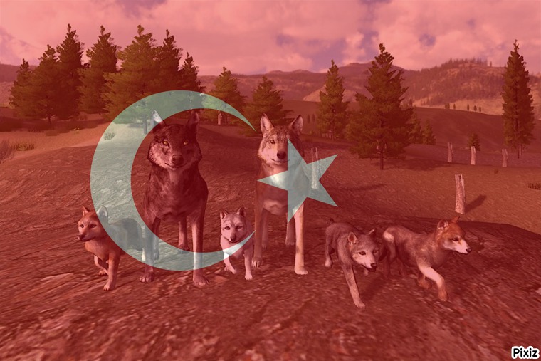 [TR] Aile Kurma (Eş Nasıl Bulunur) for WolfQuest: Classic