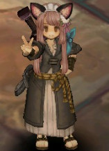 Tree of Savior [Achievement] - Pink hair dye for Tree of Savior (English Ver.)