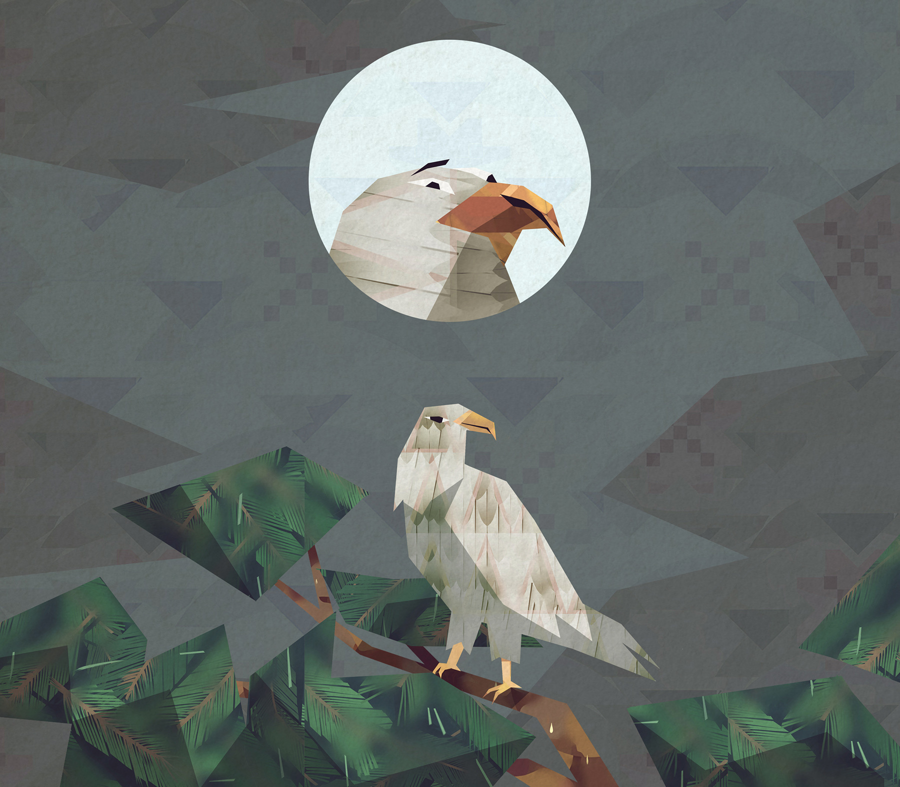 Understanding Eagles for Meadow