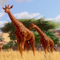Update 1.3 Planet ZOO for Planet Zoo