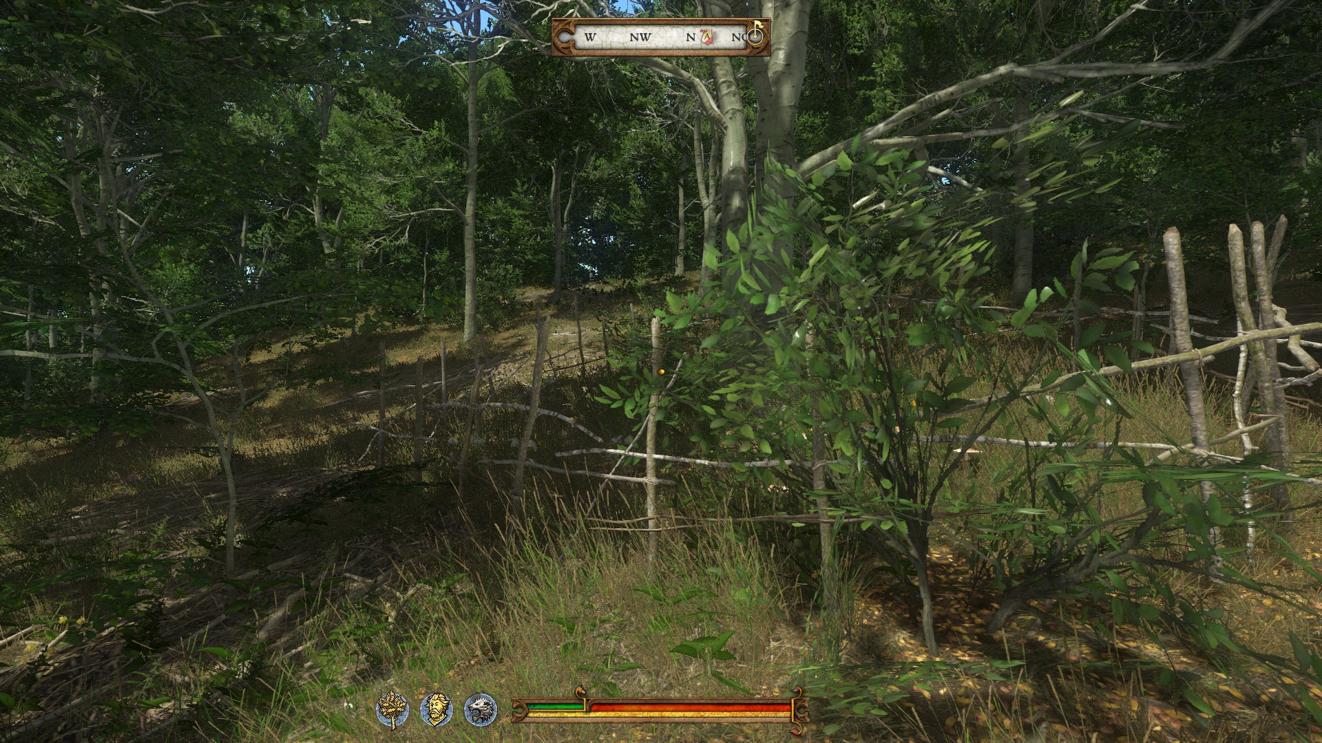 Updated: Tons of Belladonna for Kingdom Come: Deliverance
