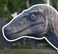 Utahraptor Tips, Tricks and fighting style! for The Isle