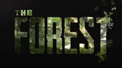 Консольные команды (Читы), которые не всем известны v1.11 for The Forest