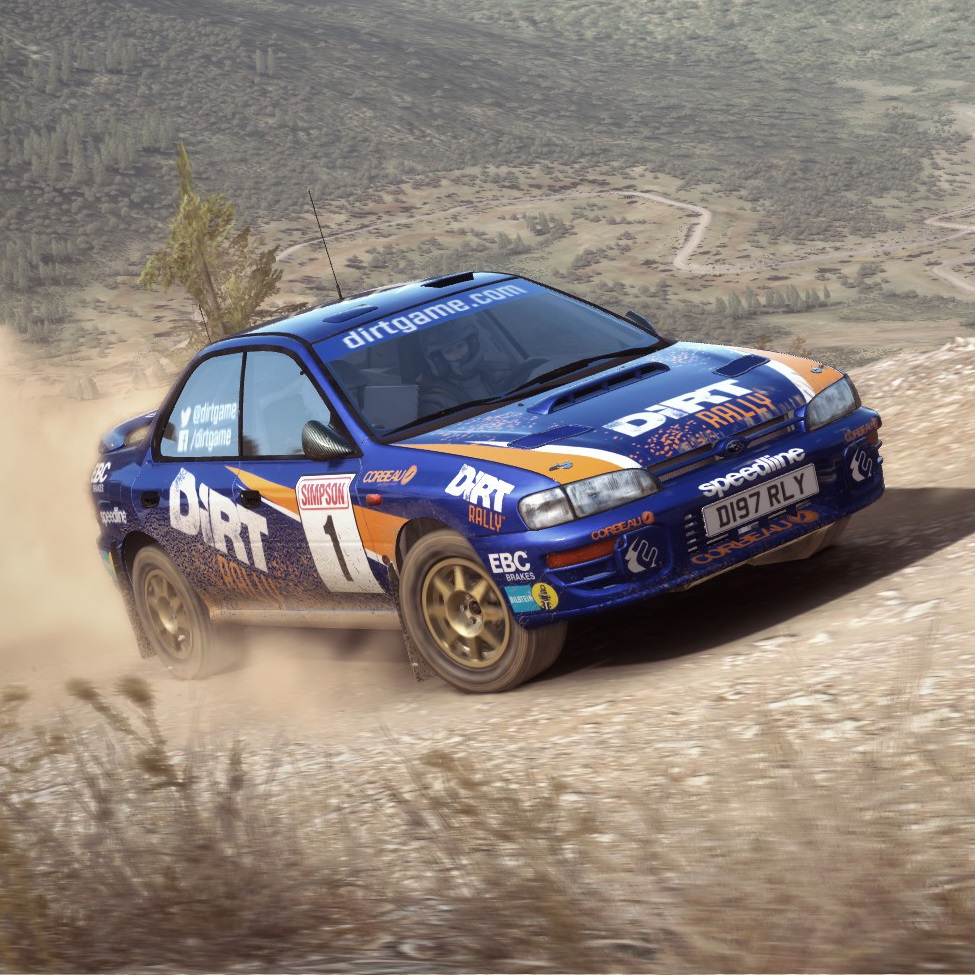Vehicle Setup Summery for DiRT Rally