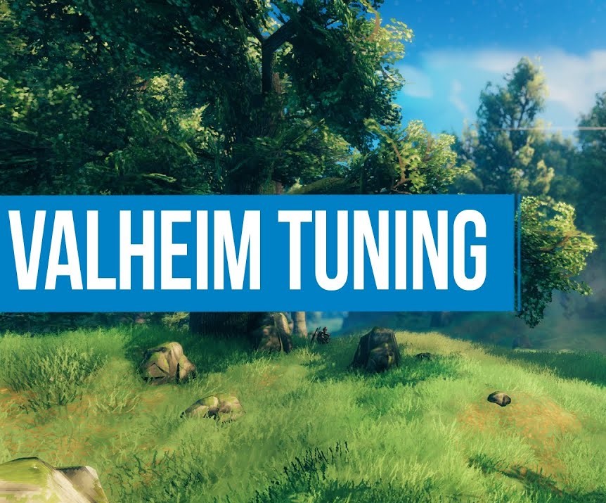 Verbesserte Grafik for Valheim