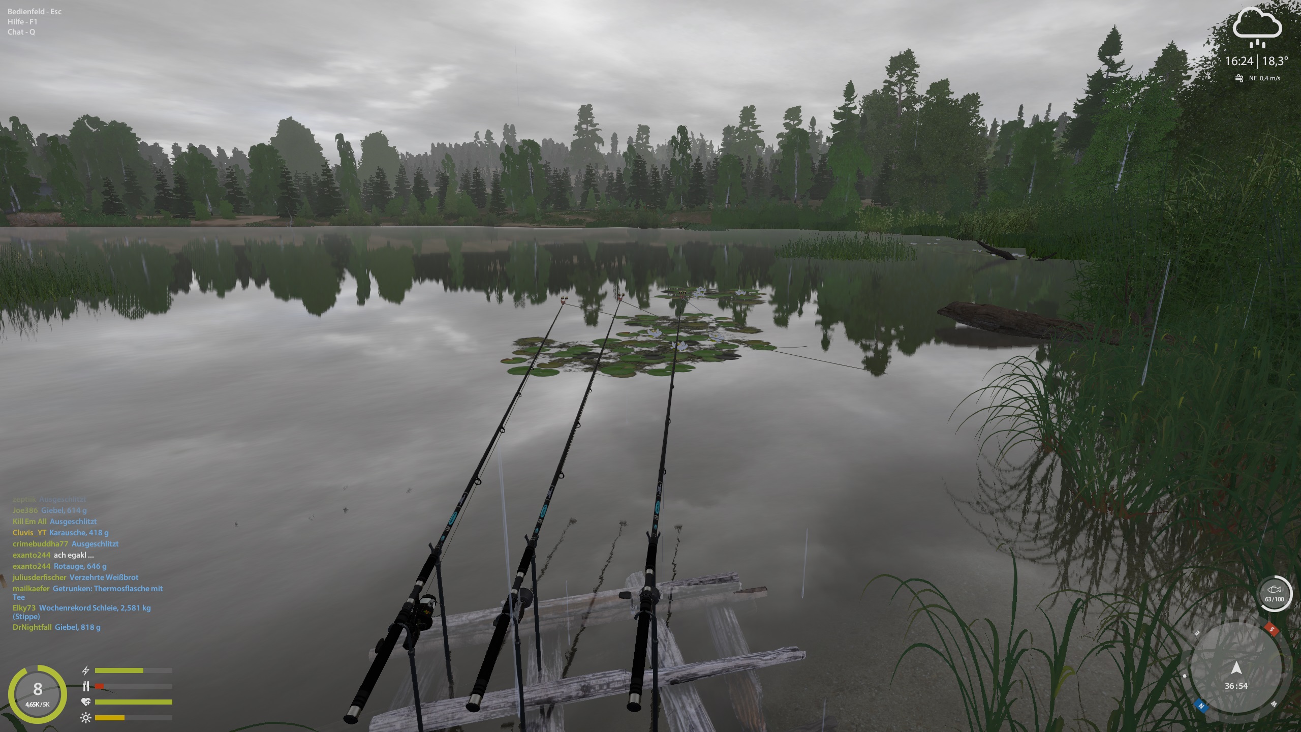 Videoguides für Anfänger und Fortgeschrittene for Russian Fishing 4