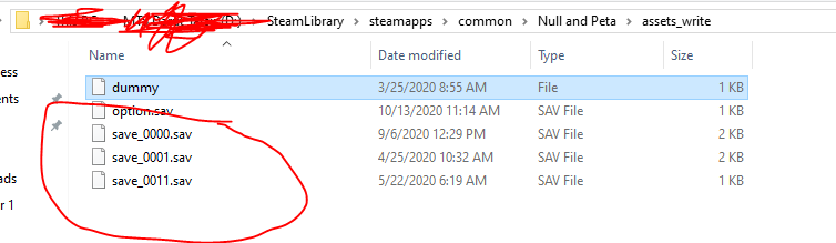 Where is Null & Peta -Invasion of the Queen Bug- save file? for Null & Peta -Invasion of the Queen Bug-