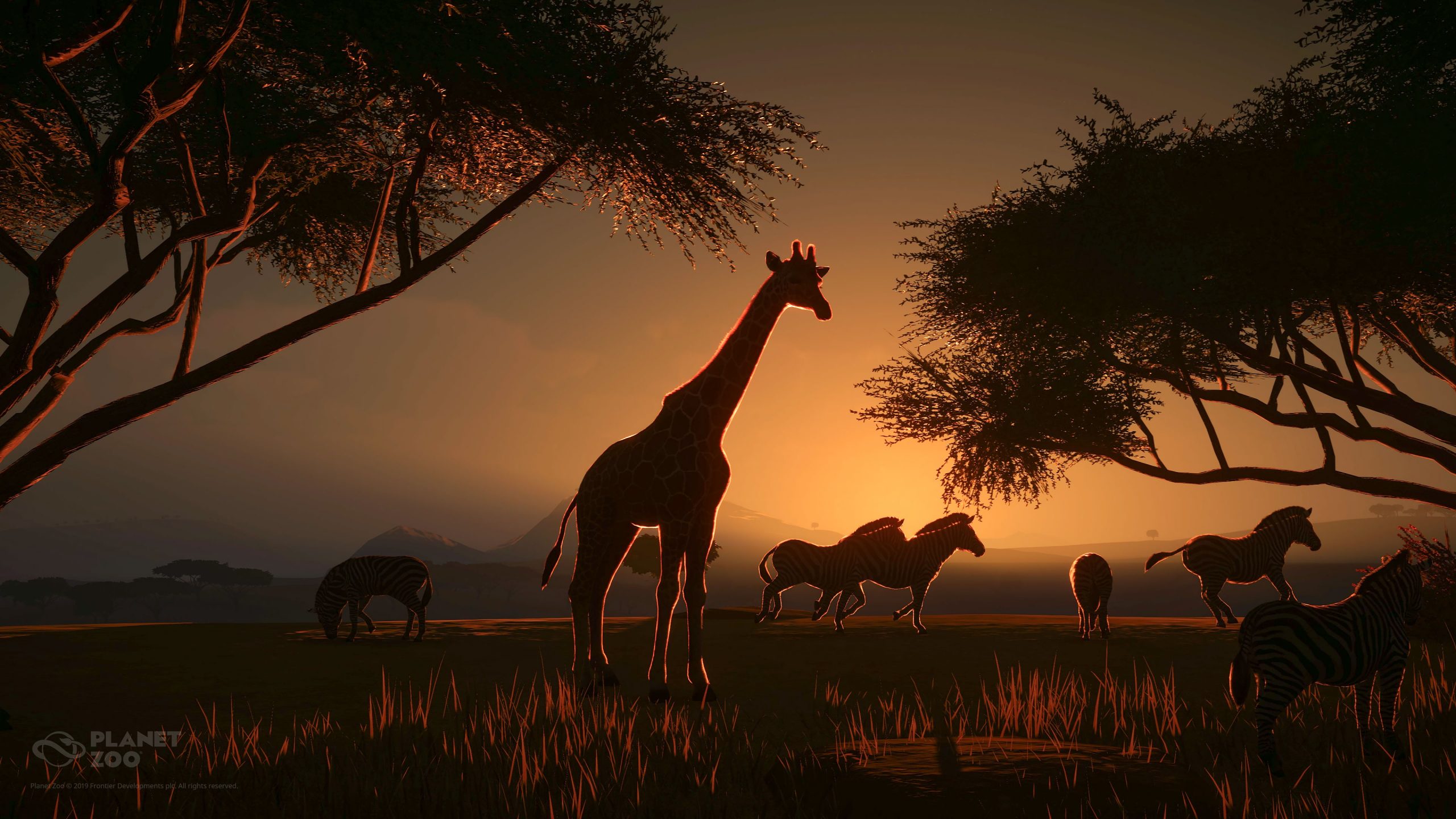 Where to find your DLC Music & Wallpapers for Planet Zoo