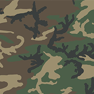 Which Countries Use Each Camouflage Pattern? for Tom Clancy's Ghost Recon® Wildlands