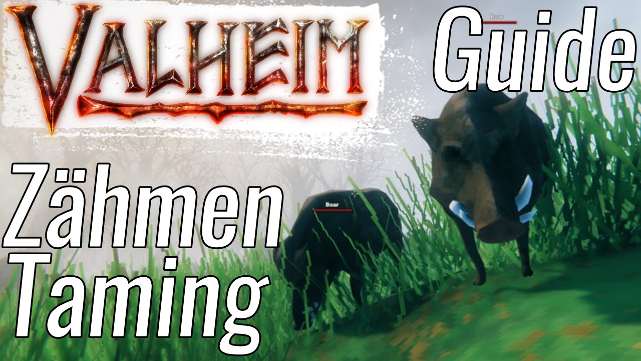 Zähmen und Züchten ⚒ Für Anfänger und Beginner ⚒ GUIDE + TIPPS + TRICKS ⚒ Nur Video for Valheim